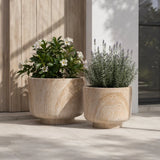 2 Sizes - Luxury Rounded Marble Planter with Pedestal Base | Premium Pot Range