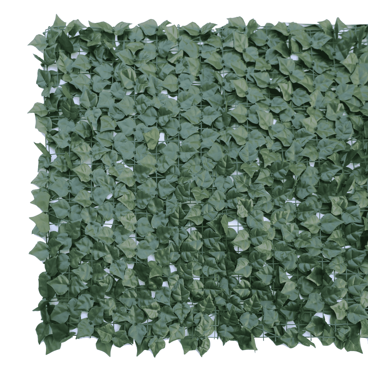 Double Sided Ivy Rolls 3m x 1m - Designer Plants