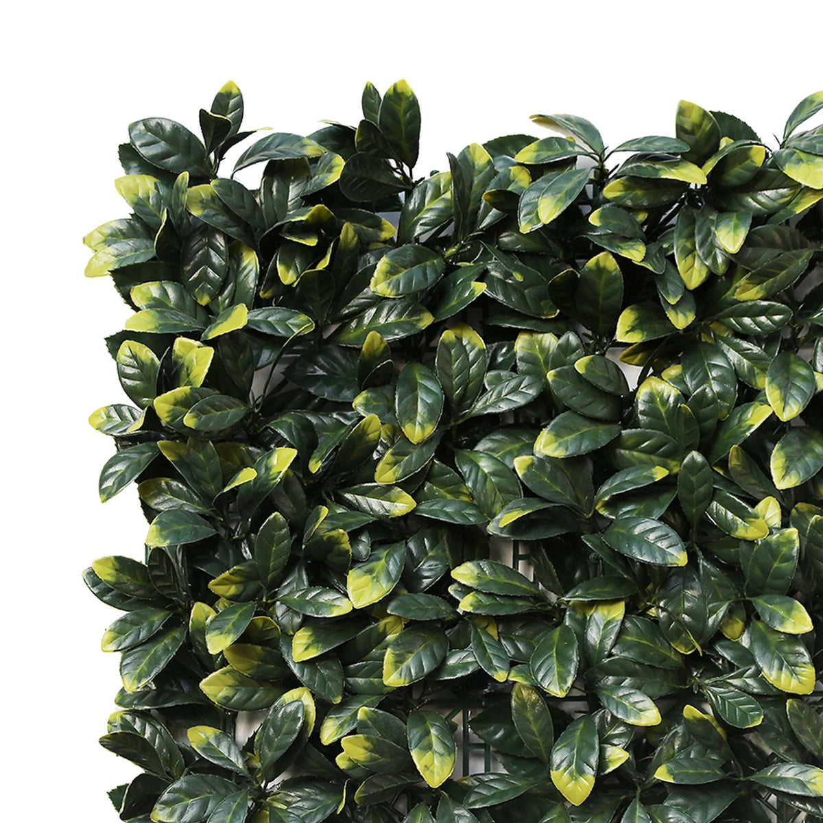 Laurel Hedge Panels UV Resistant 1m x 1m