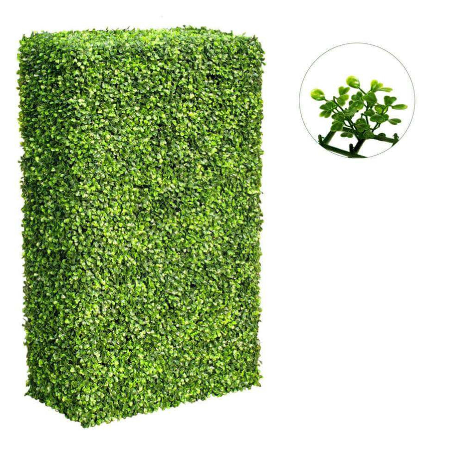 Large Portable Mixed Boxwood Hedge UV Resistant 100cm Long x 200cm High - Designer Plants