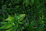 Luxury Green Tropics Vertical Garden/Green Wall UV Resistant 1m x 1m