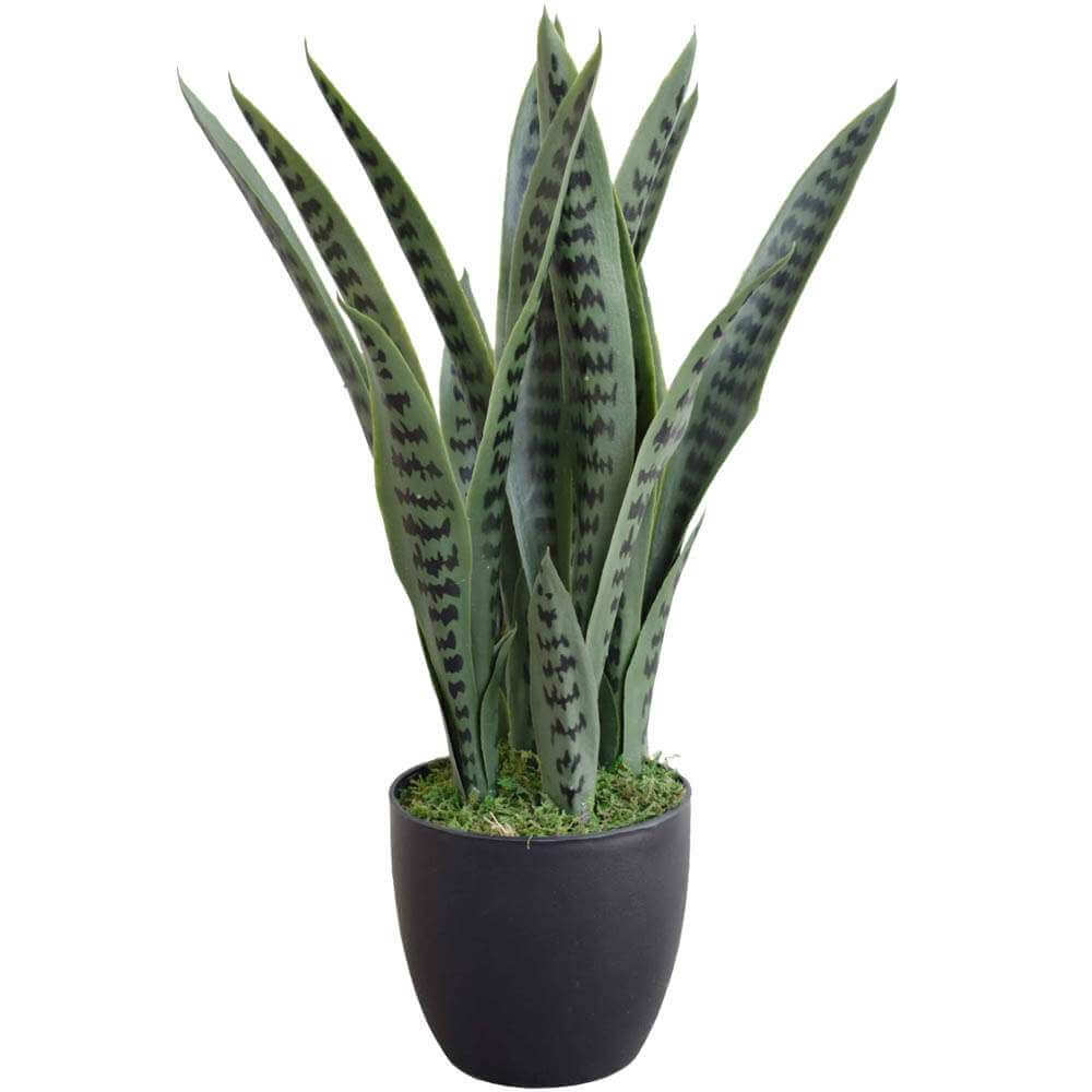 Artificial Snake Plant Sansevieria UV Resistant 60cm - Designer Plants