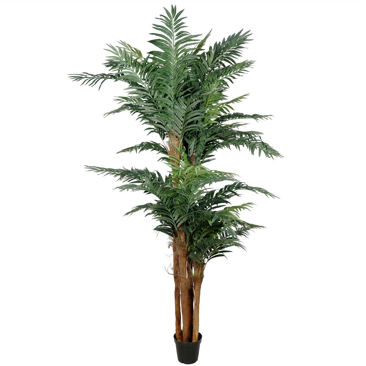 Large Artificial Tropical Palm Tree (Amazingly Real) 300cm - Designer Plants
