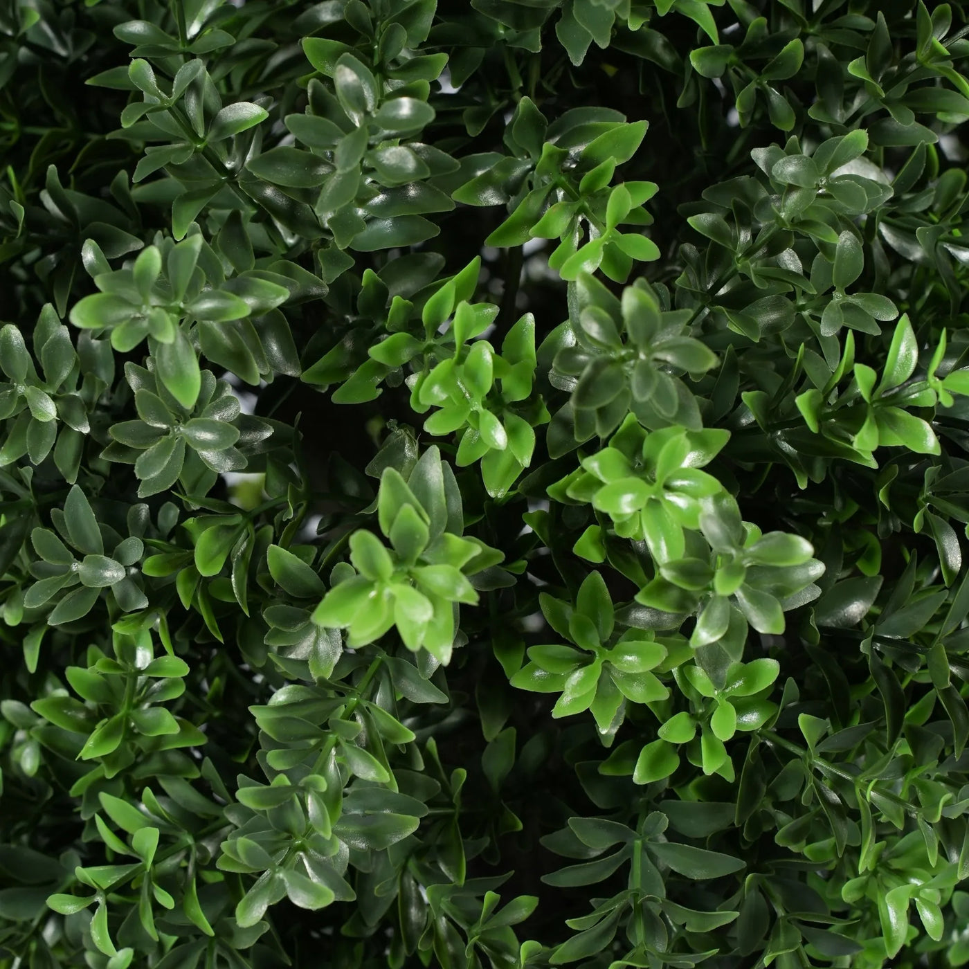 Artificial Topiary Shrub (Hedyotis) UV Resistant 80CM