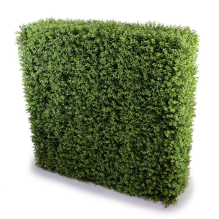 Deluxe Portable Buxus Hedge UV Resistant 100cm Long x 100cm High - Designer Plants