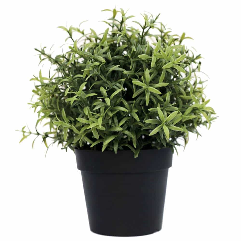 Small Potted Artificial Rosemary Herb Plant UV Resistant 20cm - Designer Plants