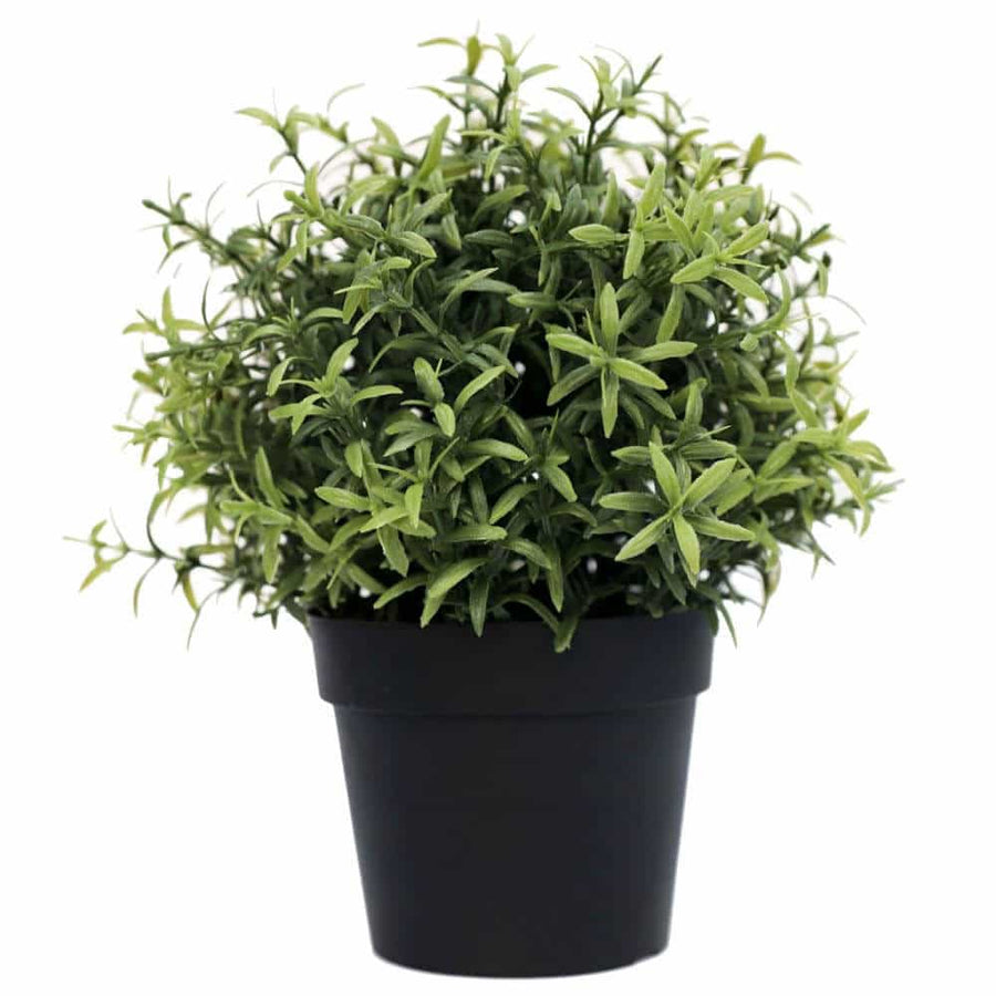 Small Potted Artificial Rosemary Herb Plant UV Resistant 20cm - Designer Plants