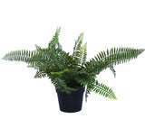 UV Treated 20cm Small Potted Plants Bundle