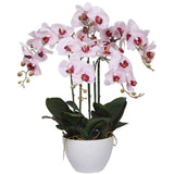 66cm Multi Stem Butterfly Artificial Potted Orchid With Pink Flowers - Designer Plants