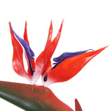 Artificial Bird of Paradise Plant 110cm (Red Flowers)
