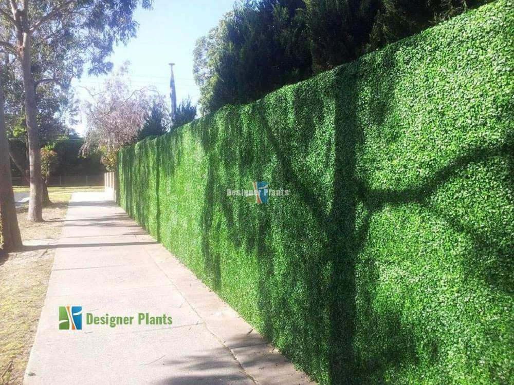 Boxwood Hedge Leaf Screens / Panels UV Resistant SAMPLE