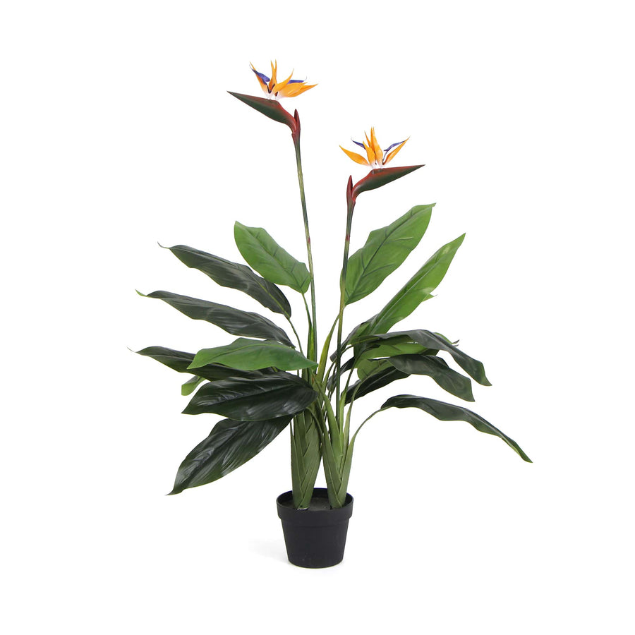 Artificial Bird of Paradise Plant 110cm - Designer Plants
