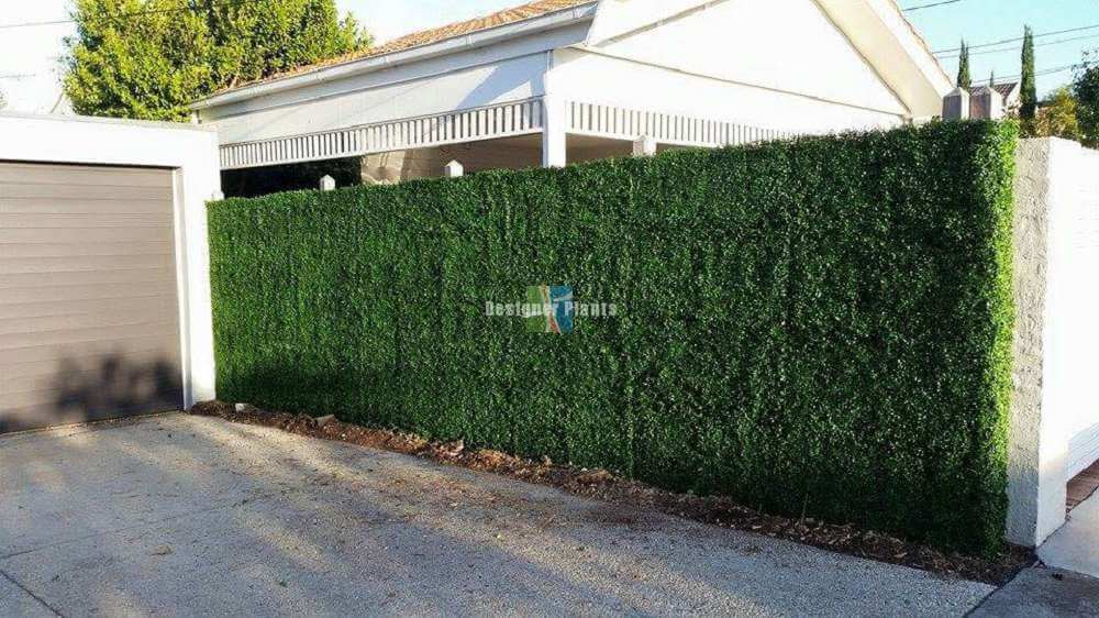 Boxwood Hedge Leaf Screens / Panels UV Resistant SAMPLE