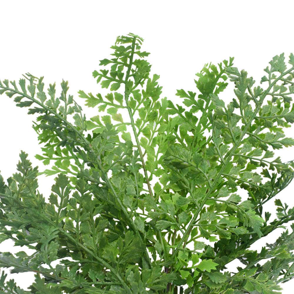 Artificial Maidenhair Fern Stem 40cm