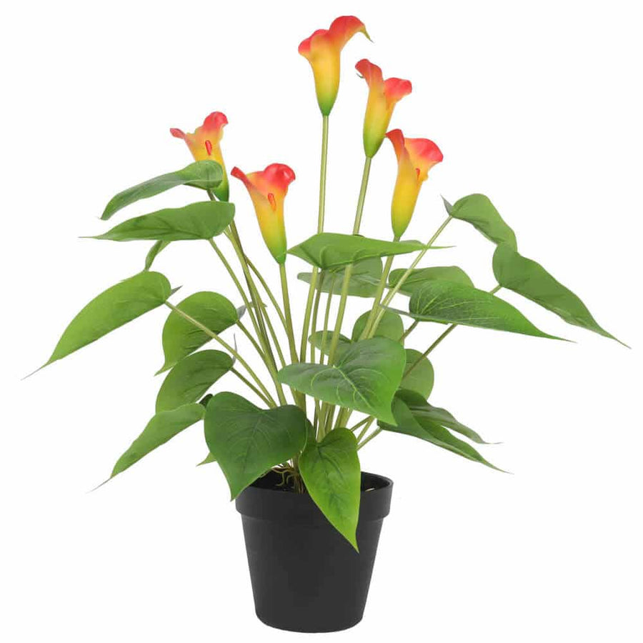 Artificial Flowering White & Orange Peace Lily / Calla Lily Plant 50cm - Designer Plants