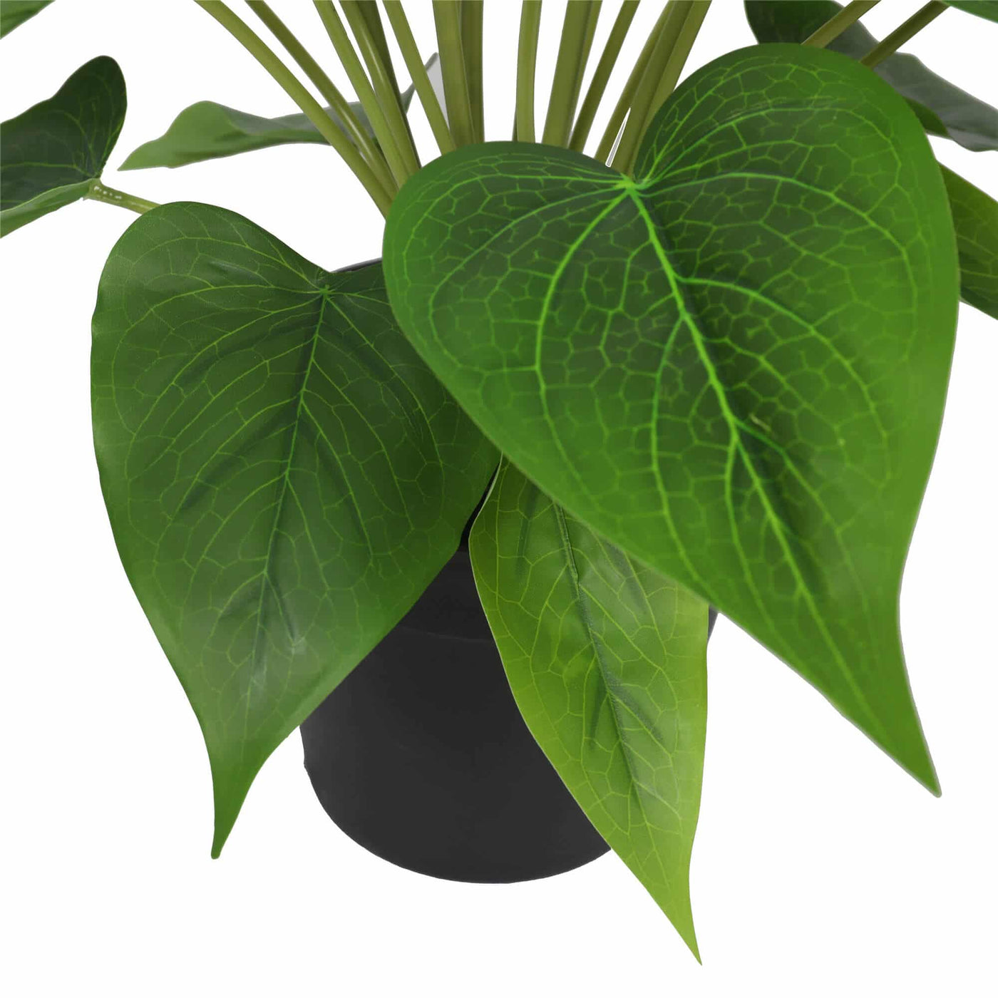 Artificial Flowering White Peace Lily / Calla Lily Plant 50cm