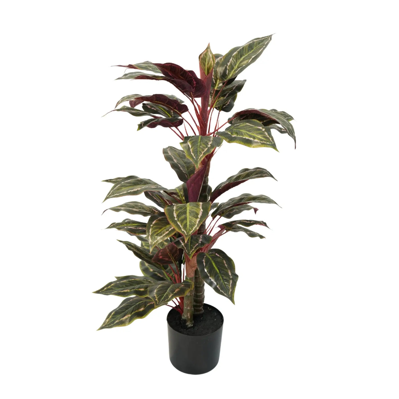 Artificial Wide Leaf Cordyline Plant 90cm - Designer Plants