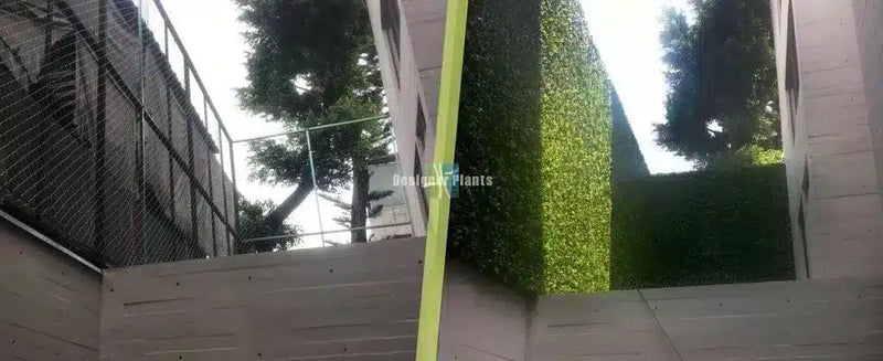 Before/After installation of artificial buxus hedge panels
