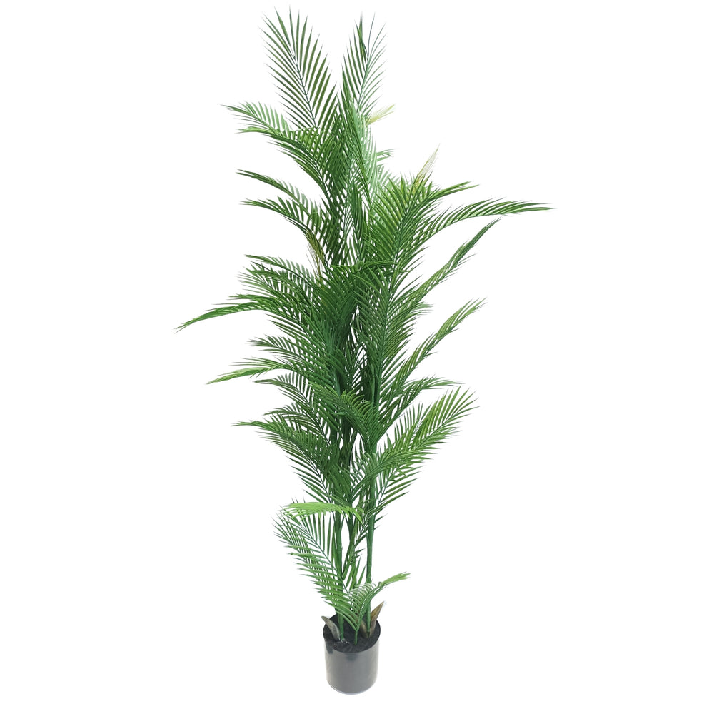 Real Touch Artificial Phoenix Palm Tree UV Resistant 180cm - Designer Plants