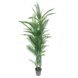 Real Touch Artificial Phoenix Palm Tree UV Resistant 180cm