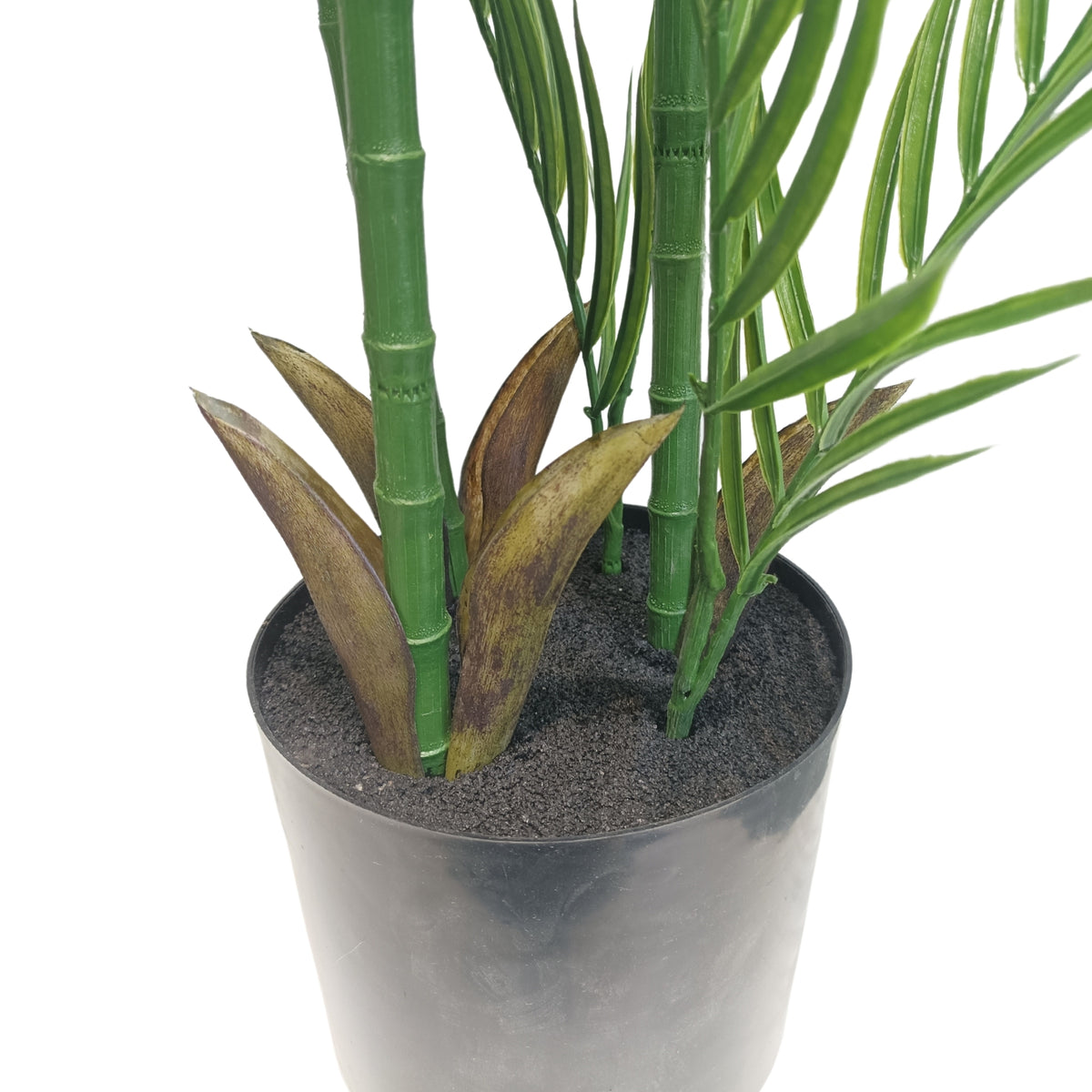 Real Touch Artificial Phoenix Palm Tree UV Resistant 180cm