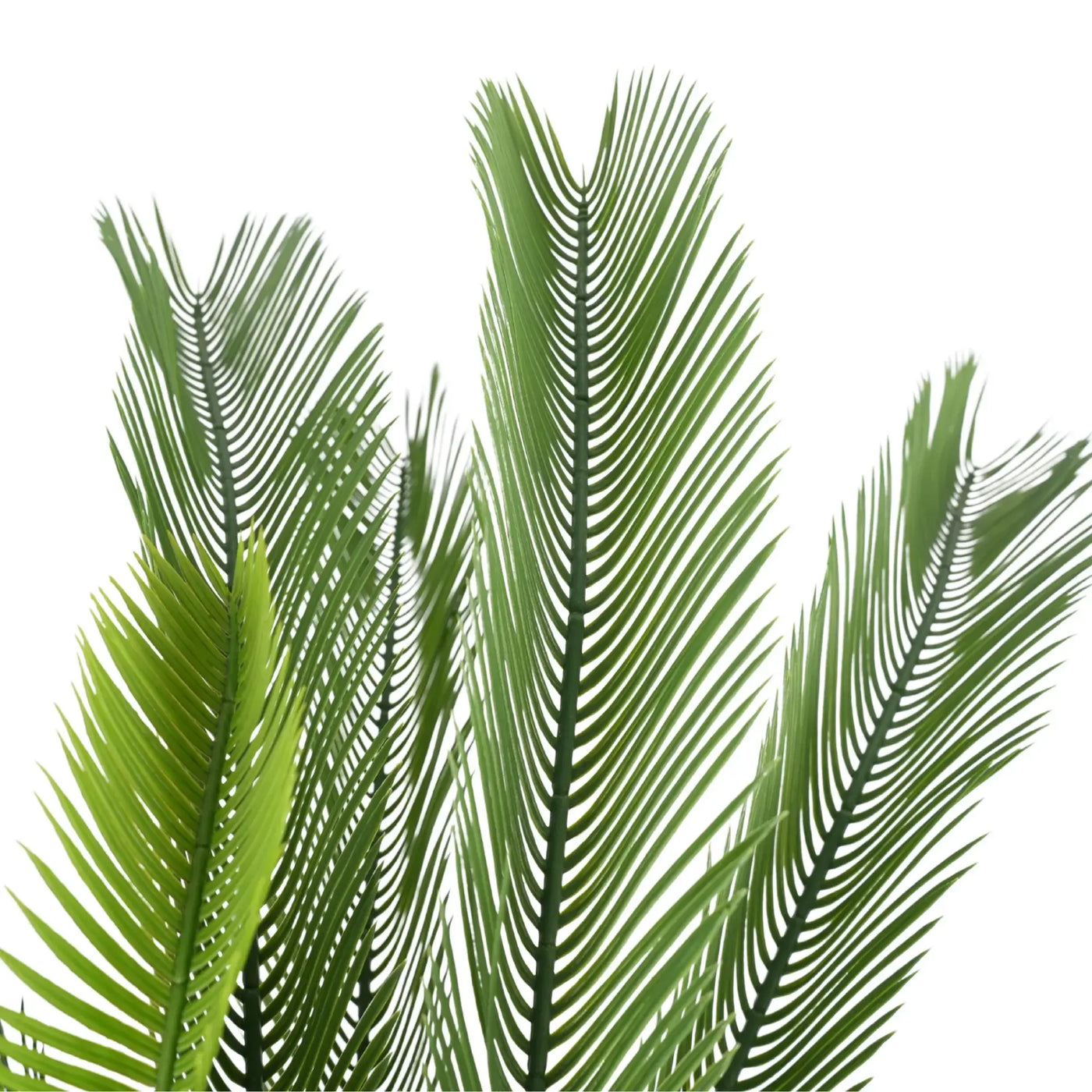 Premium Artificial Cycas / Cycad Palm Tree 105cm UV Resistant