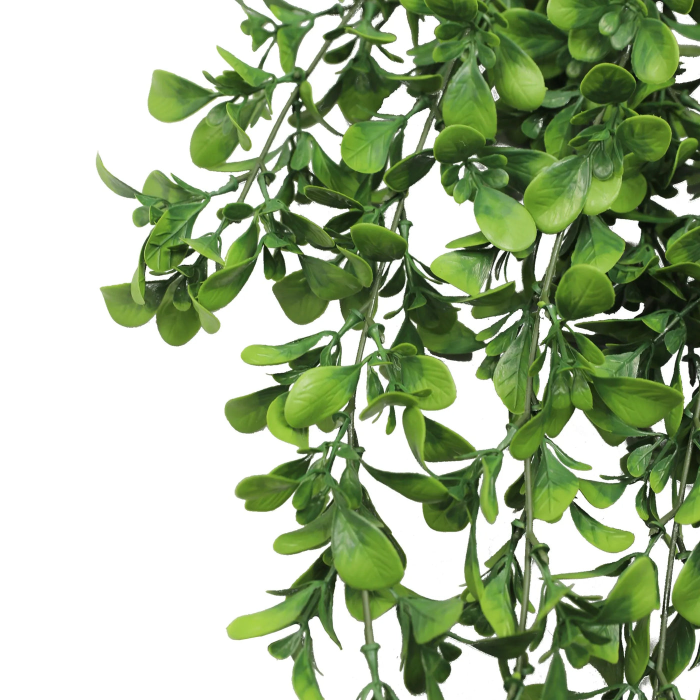 Artificial Creeping Fig Garland Bush UV Resistant and Fire Rated 18cm x 76cm