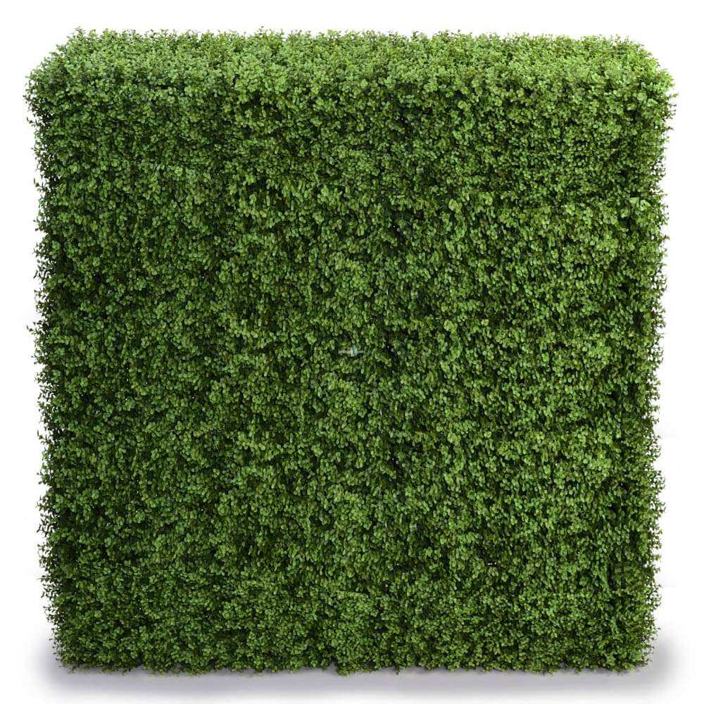 Deluxe Portable Buxus Hedge UV Resistant 150cm Long x 150cm High - Designer Plants