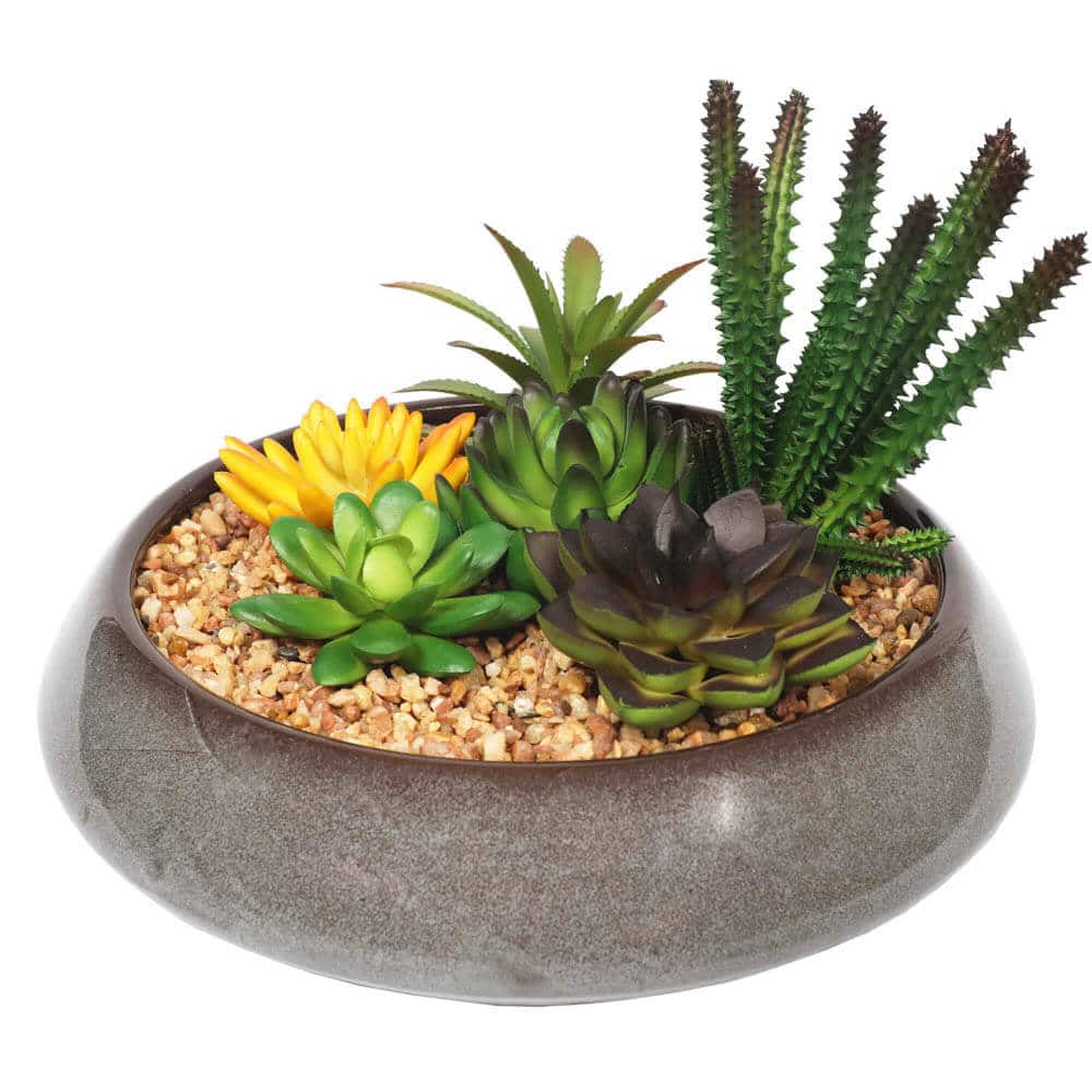 Potted Artificial Succulents with Round Decorative Bowl 19cm - Designer Plants