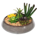 Potted Artificial Succulents with Round Decorative Bowl 19cm - Designer Plants