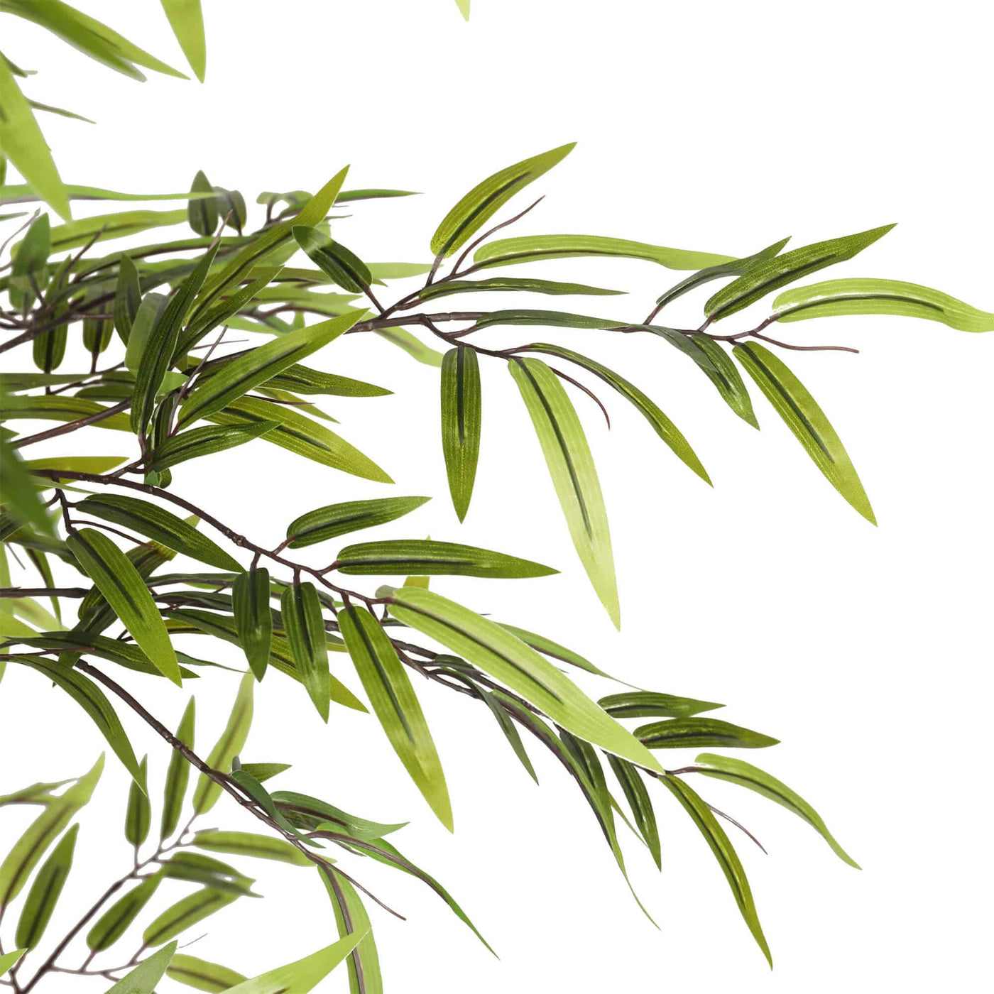 Premium Dense Artificial Black Bamboo 180cm