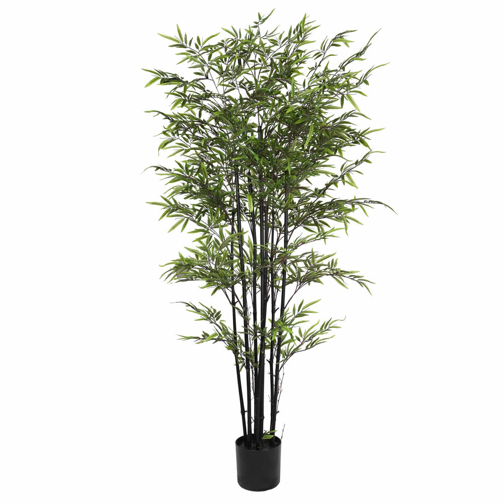 Premium Dense Artificial Black Bamboo 180cm - Designer Plants
