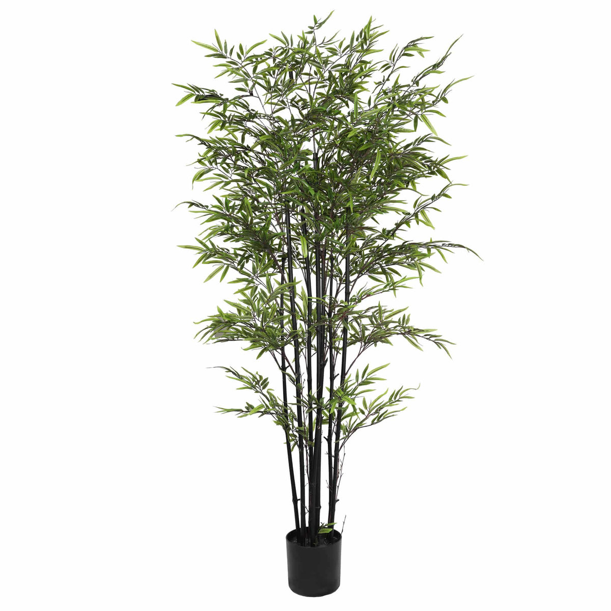 Premium Dense Artificial Black Bamboo 180cm - Designer Plants