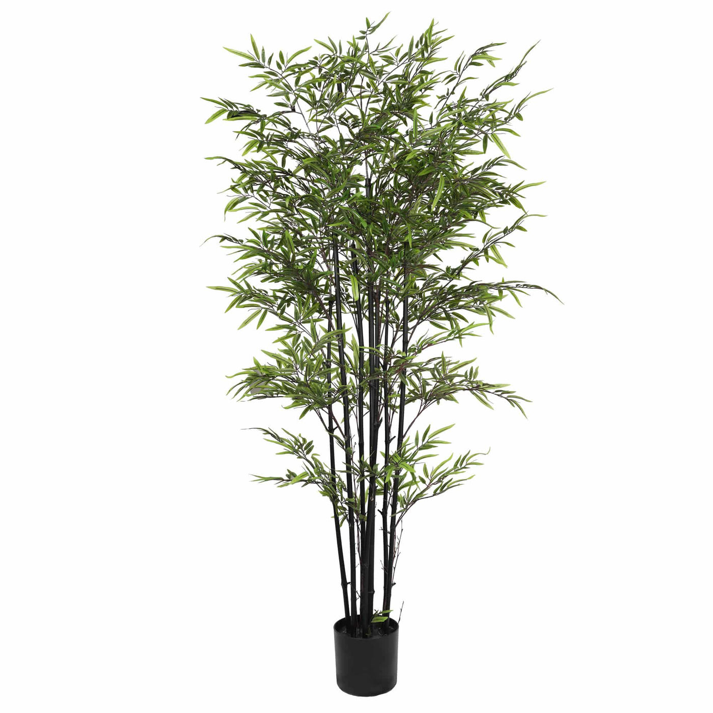 Premium Dense Artificial Black Bamboo 180cm - Designer Plants