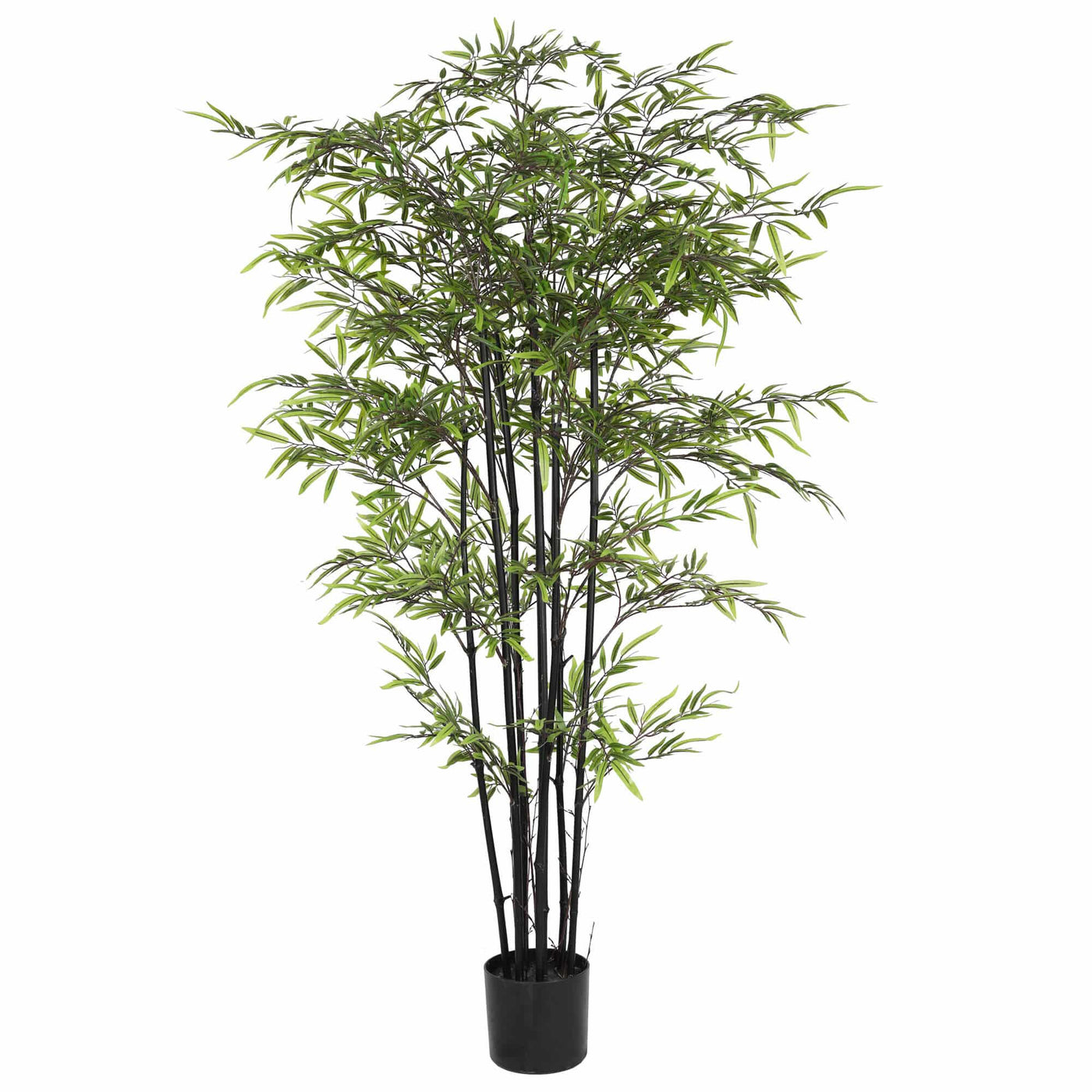 Premium Dense Artificial Black Bamboo 180cm