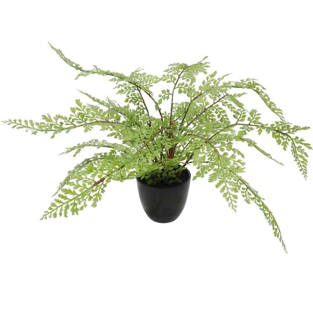 Faux Small Potted Fern 35cm - Designer Plants