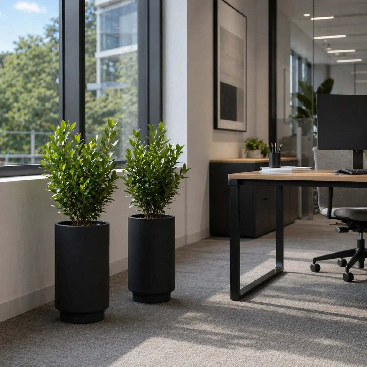 Luxury Cylinder Planter 40cm Matt Black Premium Pot Range