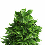 Artificial Dense Hanging Flowering Pothos Bush Vivid Green UV Resistant and Fire Rated 27cm Wide x 72cm Long