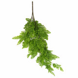Hanging Native Green Dense Maiden Hair Fern Bush UV Resistant 80cm - Designer Plants