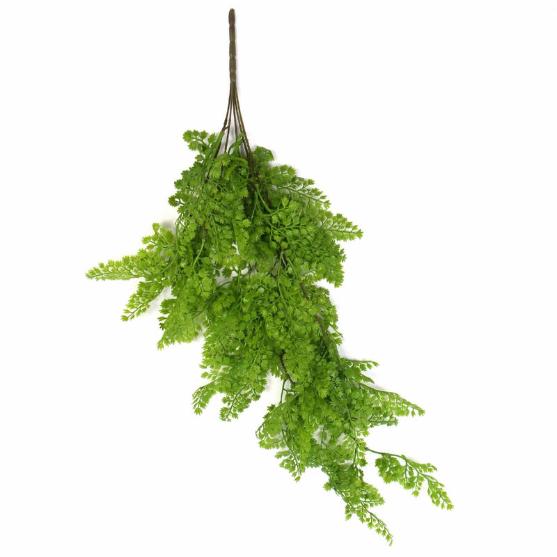 Hanging Native Green Dense Maiden Hair Fern Bush UV Resistant 80cm - Designer Plants