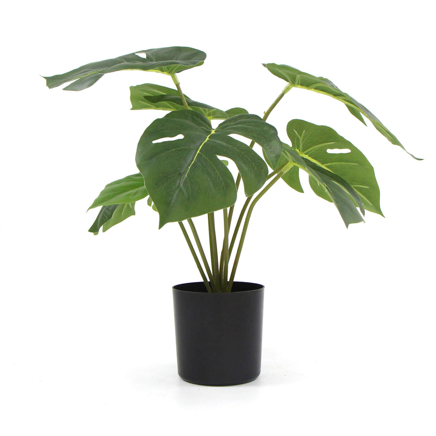 Potted Artificial Monstera Split Philodendron Plant with Real Touch Leaves 35cm - Designer Plants