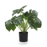 Dense Potted Artificial Monstera Deliciosa Plant With Real Touch Leaves 50cm - Designer Plants