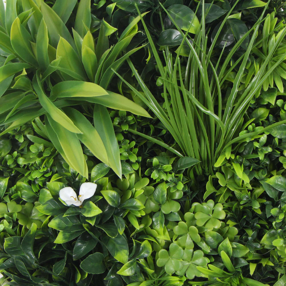 Flowering White Artificial Green Wall Disc UV Resistant 75cm (White Frame)