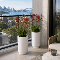 Luxury Cylinder Planter 40cm Matt White Premium Pot Range - Designer Plants
