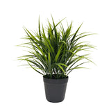 Artificial Ornamental Potted Dense Green Grass UV Resistant 38cm