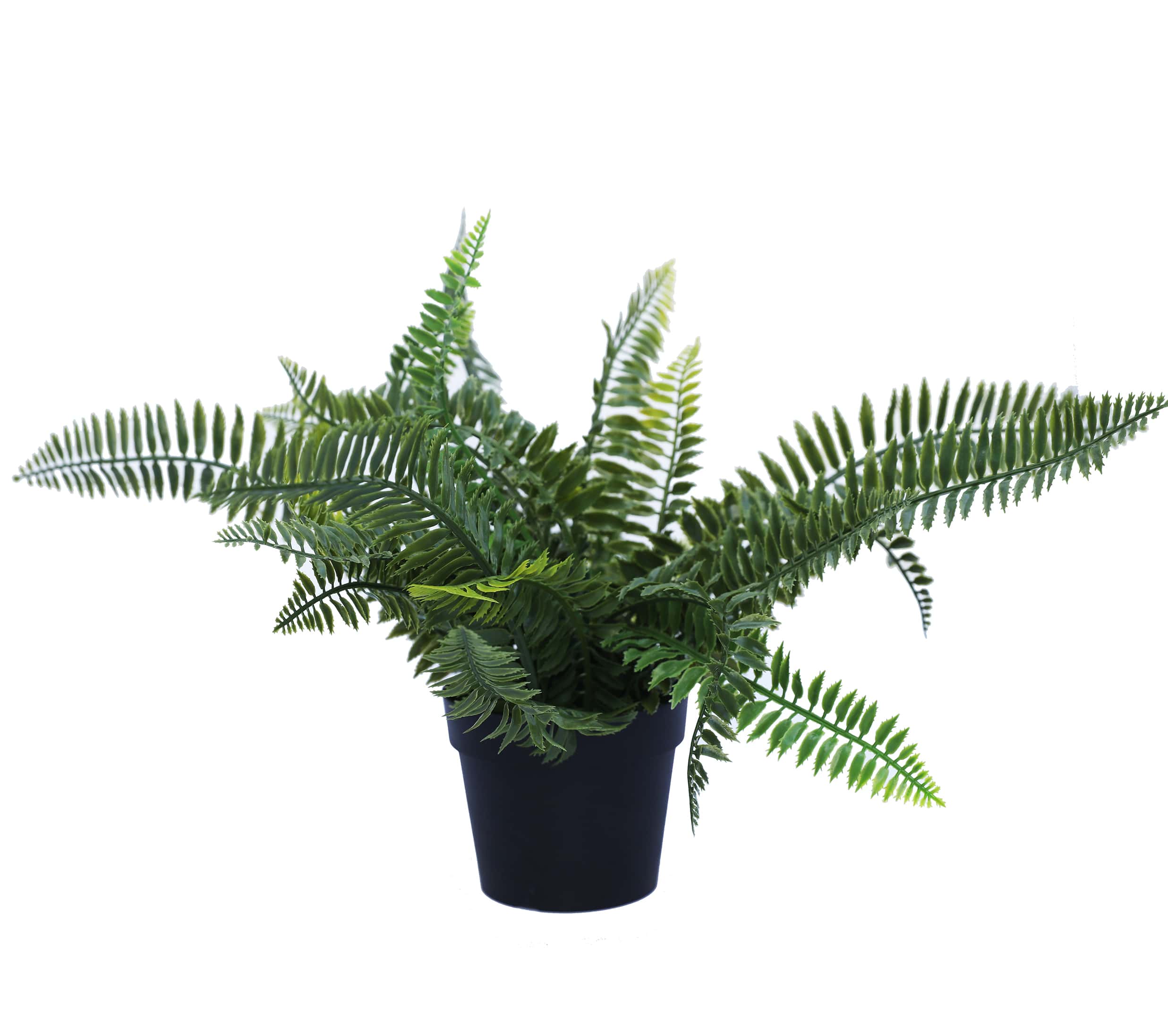 Small Potted Artificial Dark Green Fern Plant UV Resistant 20cm - Designer Plants