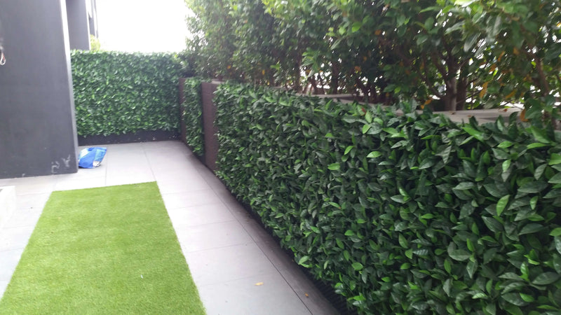 After – Penthouse apartment where fake photinia hedge panels were installed
