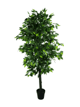 Mixed Green Bushy Artificial Ficus Tree 180cm