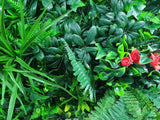 Elegant Red Rose Vertical Garden / Green Wall UV Resistant 100cm x 100cm