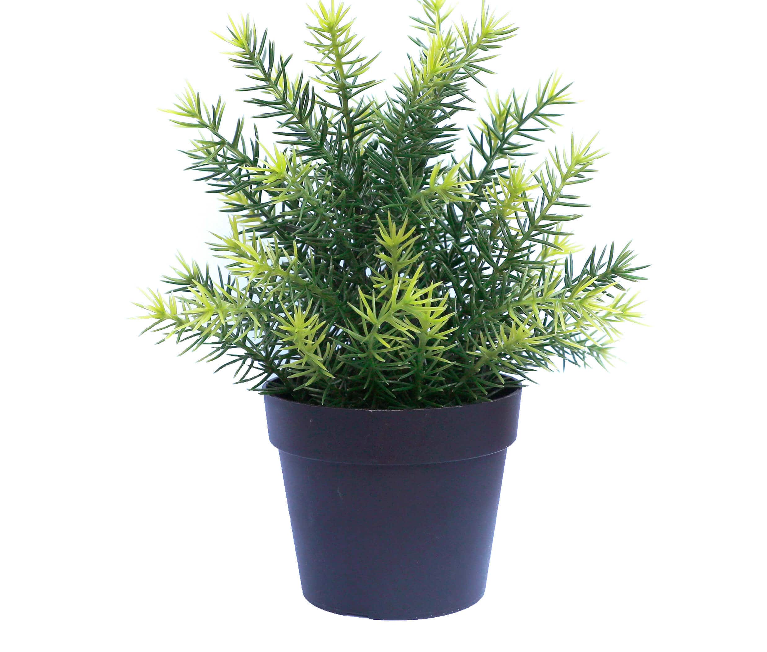 Small Potted Artificial Native Grass Plant UV Resistant 20cm - Designer Plants